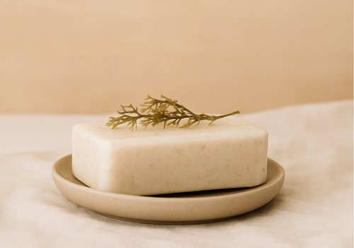 A handmade sea moss soap bar rests on a ceramic dish with a sprig of dried sea moss on top, set against a soft beige background with natural fabric.