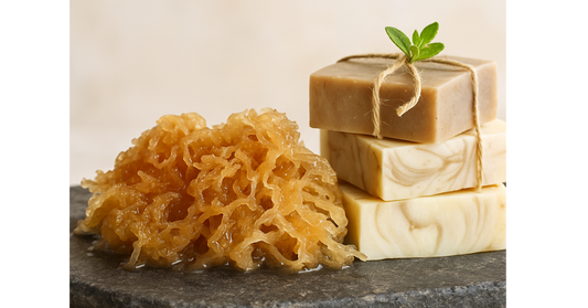 Hydrated golden sea moss and stacked handmade soap bars on a natural stone surface, tied with twine and topped with a small green sprig, photographed in warm natural light for a handmade skincare brand