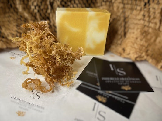 1998 Brightening Sea Moss Soap